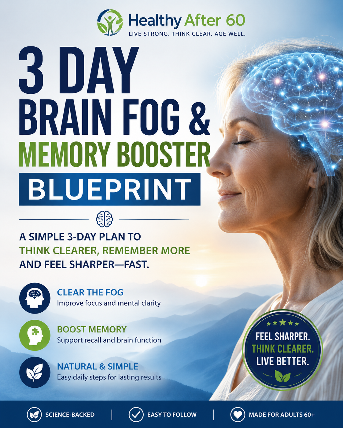 3 Day Brain Fog & Memory Booster Blueprint